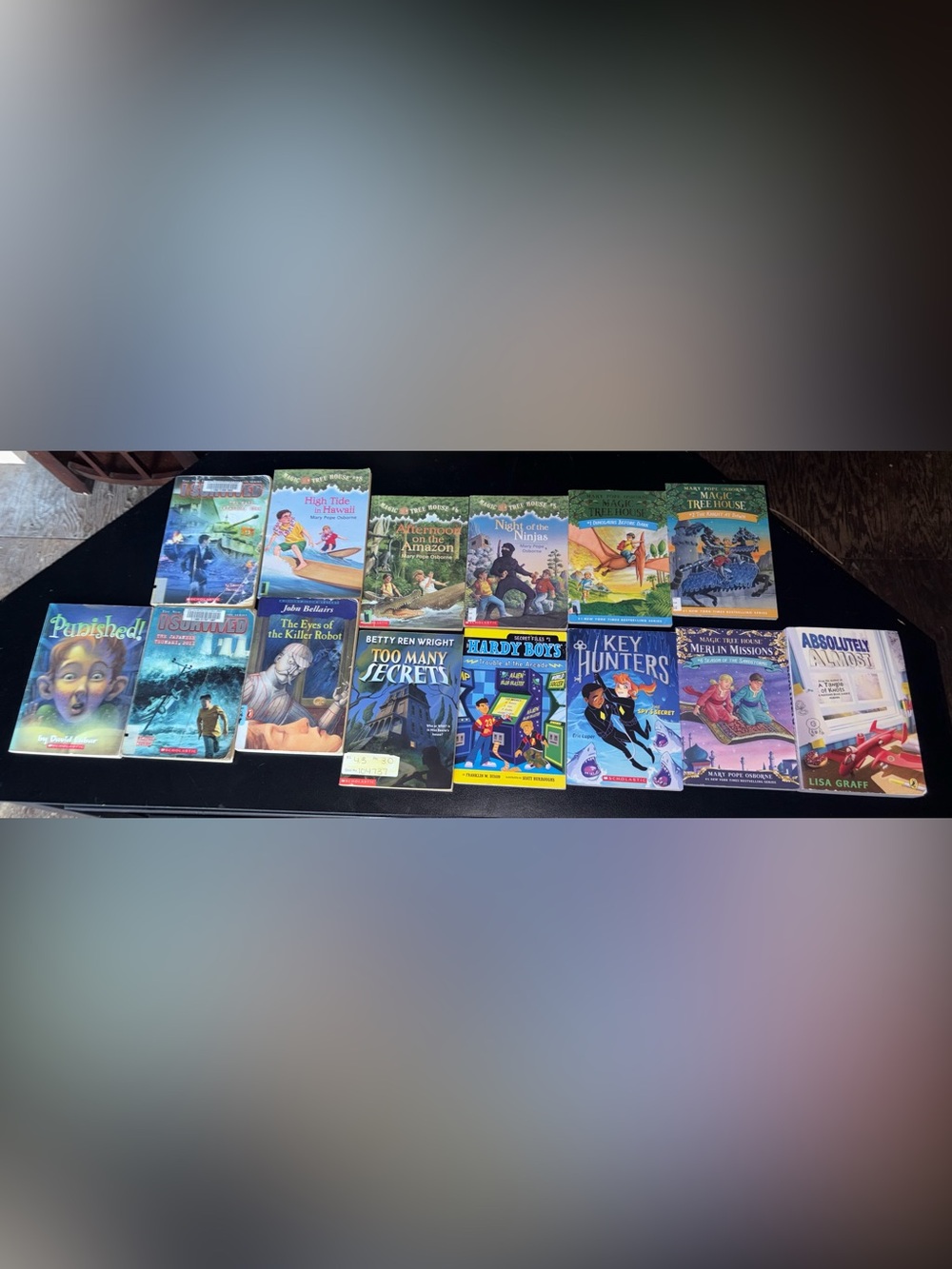 Elementary school books paperback bundle